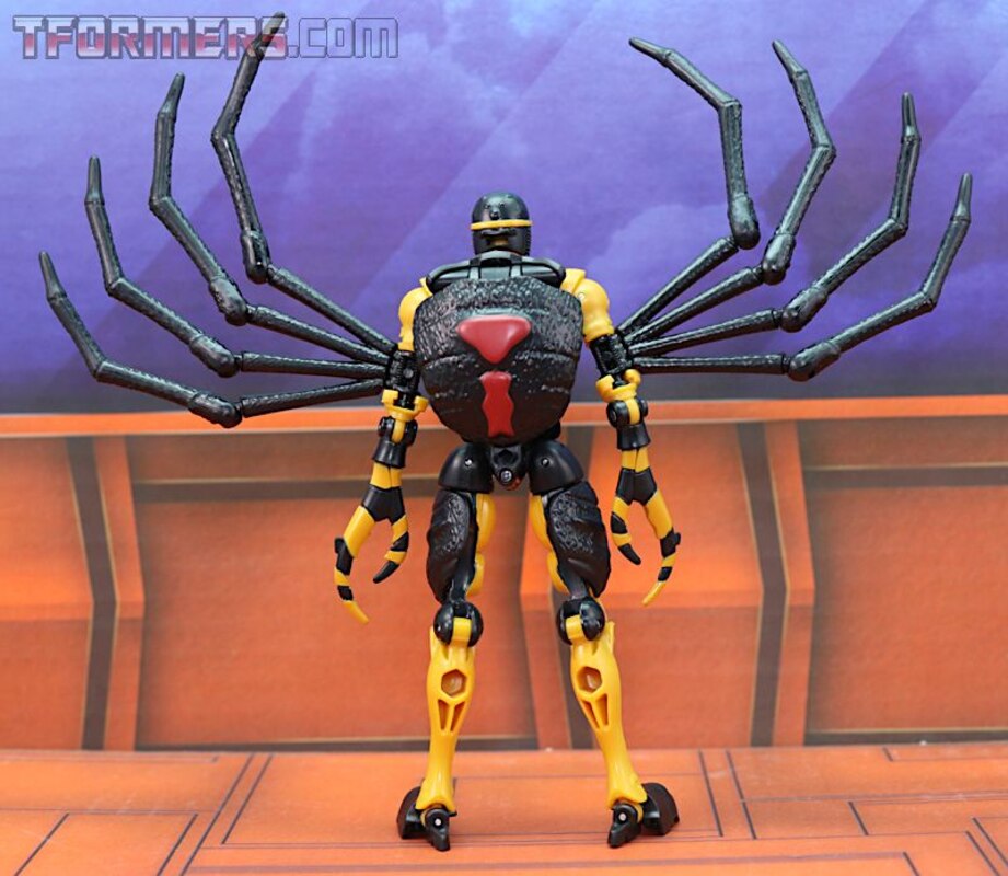 blackarachnia kingdom review